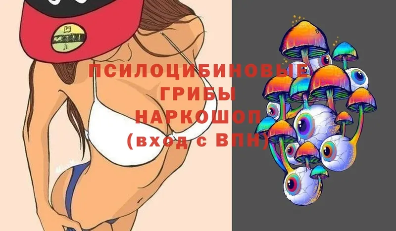 Галлюциногенные грибы Cubensis  Ветлуга 